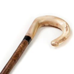 Abbeyhorn X Mj - Walking Pole "Ramshorn"