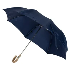 Blue Telescopic Umbrella With Wooden Handle