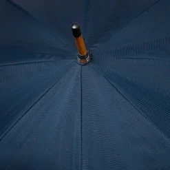 Blue Umbrella 