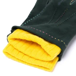 Glove
