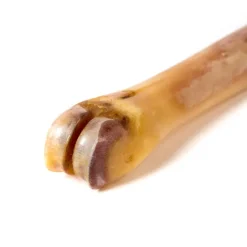 Polishing Shoebone