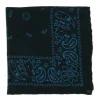 Pure Wool Pocket Square "Reni E Paisley