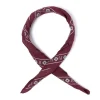 Rosi Collection X Mj: Wild Paisley Neck-Square Scarf In Cotton And Sil